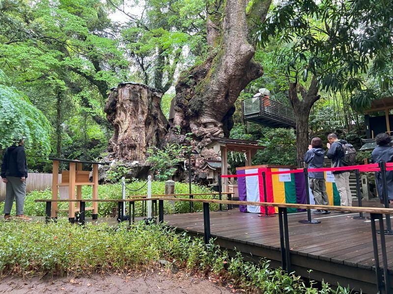 熱海景點_來宮神社