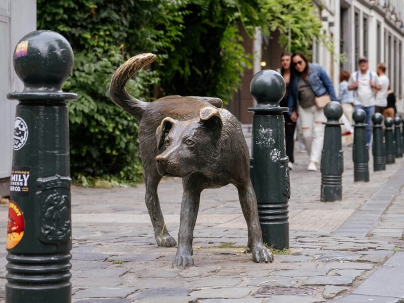 johan mouchet 31R2SpXFO2U unsplash